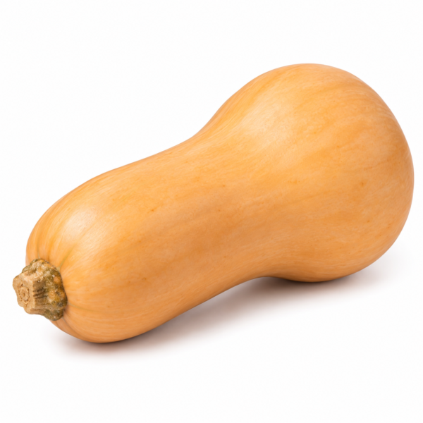 Butternut-Kürbis - Stück